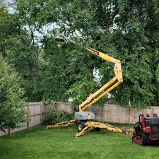 Best Tree Cabling and Bracing  in Longview Heights, WA